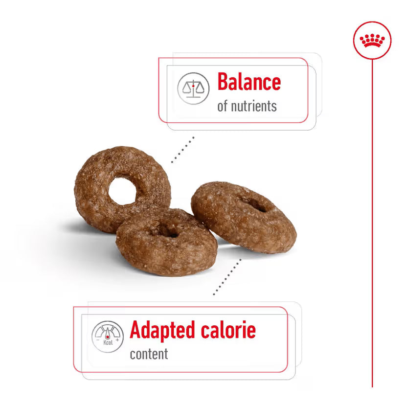 ROYAL CANIN Mini Ageing 12+ Senior Dog Food 1.5Kg