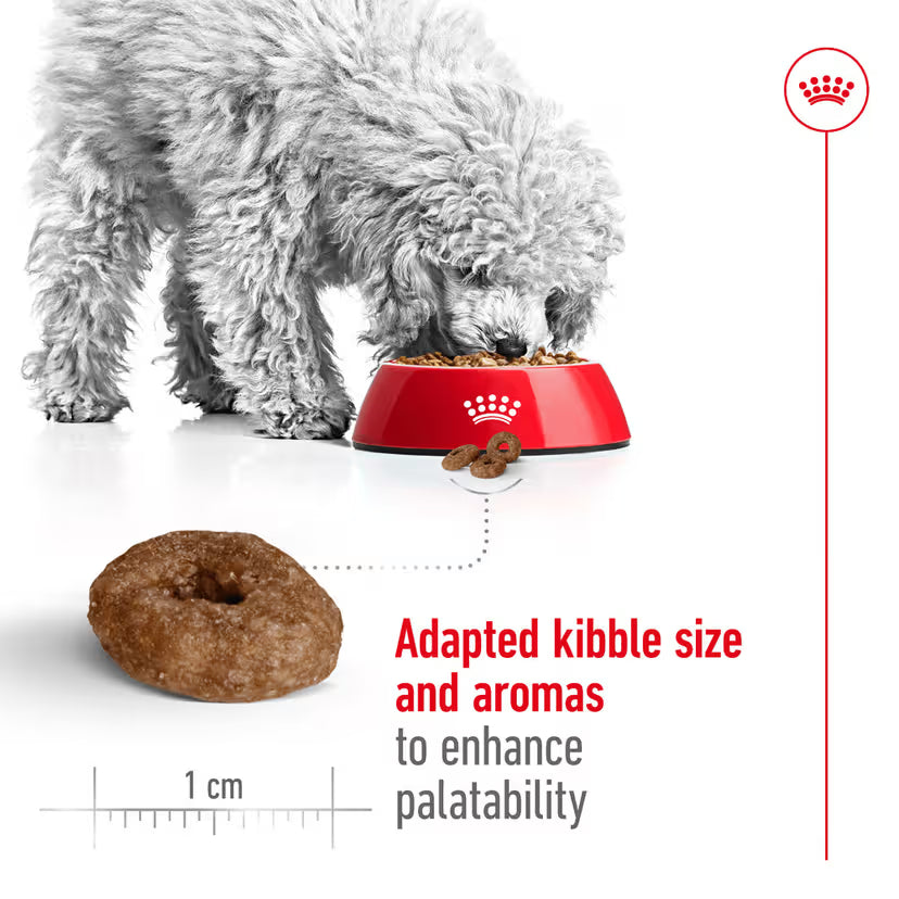 ROYAL CANIN Mini Ageing 12+ Senior Dog Food 1.5Kg