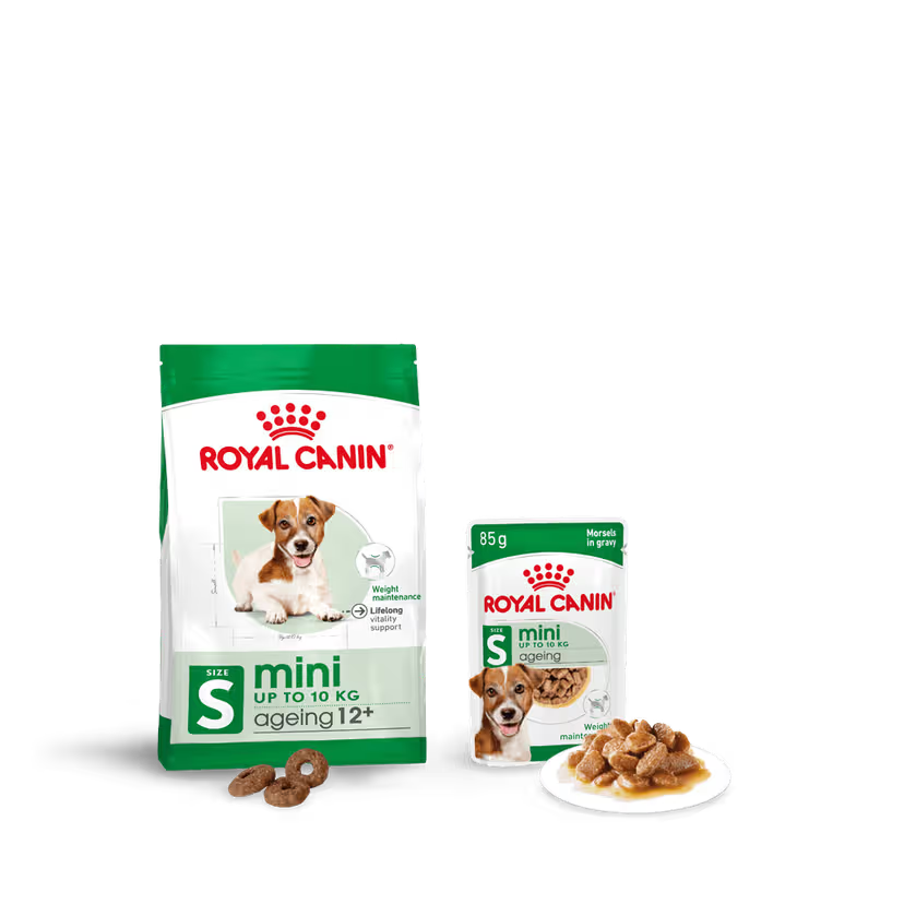 ROYAL CANIN Mini Ageing 12+ Senior Dog Food 1.5Kg