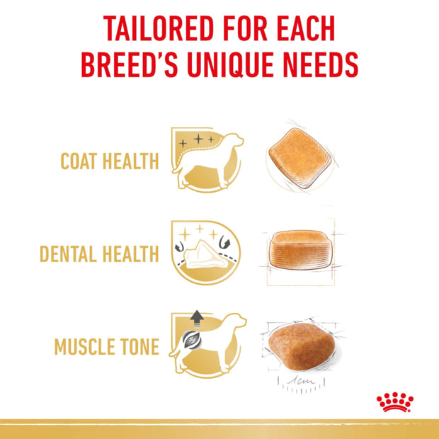 ROYAL CANIN Poodle Adult Dry Dog Food