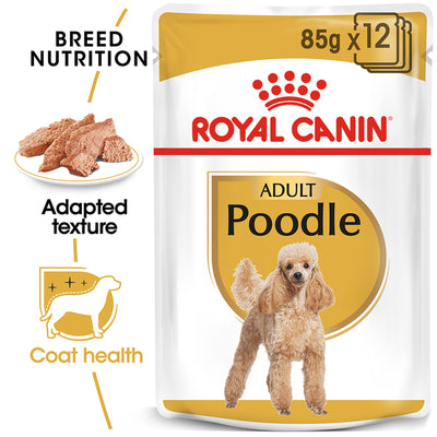 ROYAL CANIN Poodle Loaf Adult Wet Dog Food 85g x 12