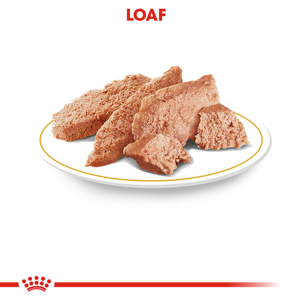 ROYAL CANIN Poodle Loaf Adult Wet Dog Food 85g x 12