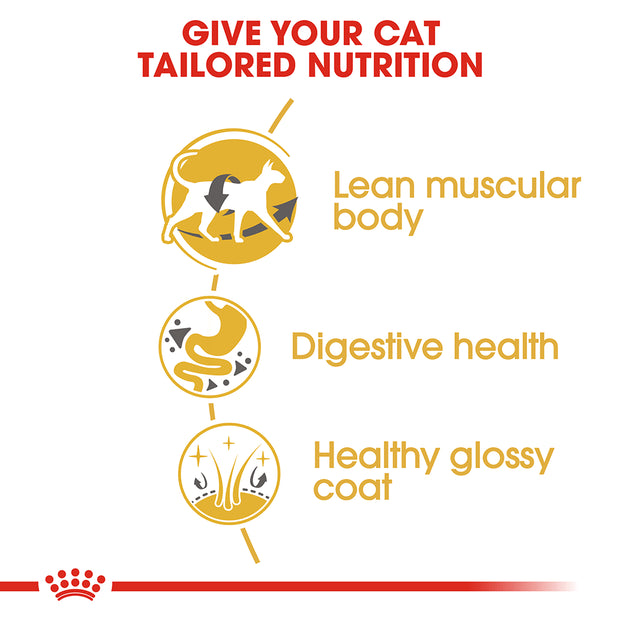 ROYAL CANIN Siamese Adult Dry Cat Food