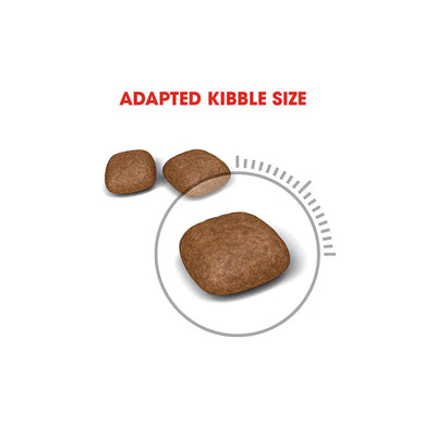 ROYAL CANIN Urinary Care Adult Dry Cat Food