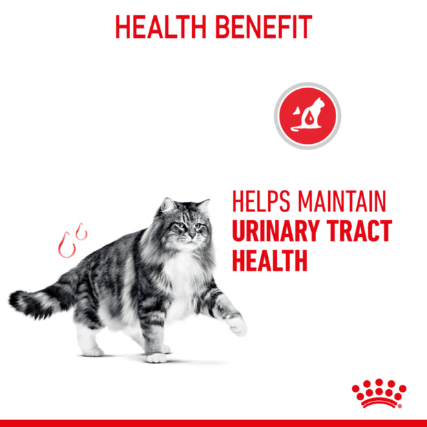 ROYAL CANIN Urinary Gravy Wet Cat Food 85g*12