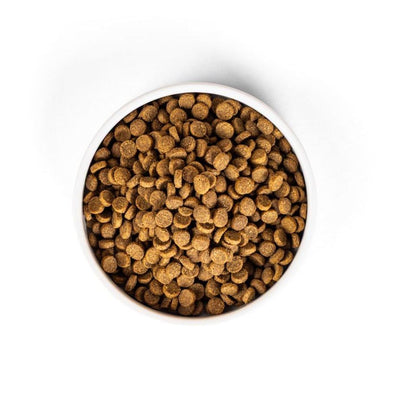 SavourLife Adult Cat Dry Food Chicken