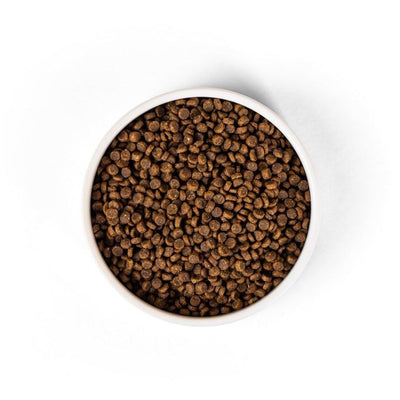 SavourLife Cat Dry Food Chicken For Kitten