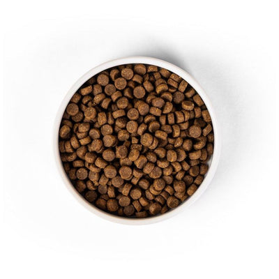 SavourLife Adult Cat Dry Food Ocean Fish