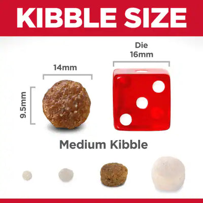 Hill's Science Diet Adult Dog Food Chicken & Barley Recipe