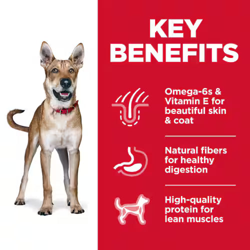 Hill's Science Diet Adult Dog Food Chicken & Barley Recipe