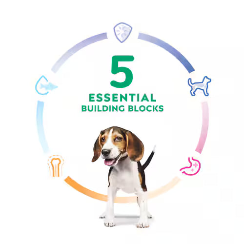 Hill's Science Diet Puppy Food Chicken & Brown Rice Recipe