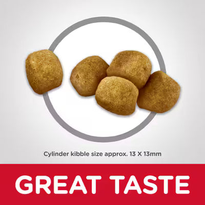 Hill's Science Diet Adult Cat Food Oral Care Chicken Recipe