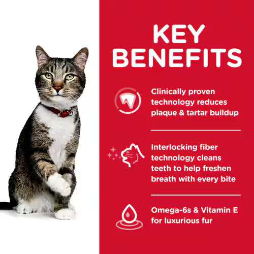 Hill's Science Diet Adult Cat Food Oral Care Chicken Recipe