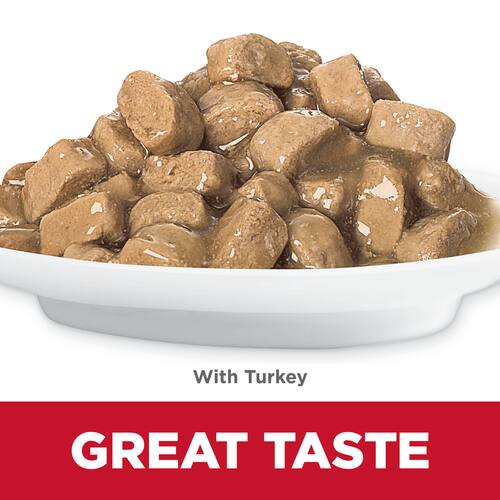 Hill's Science Diet Kitten Cat Wet Food Turkey 85g X 12