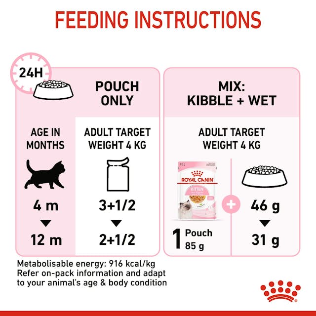 ROYAL CANIN Kitten Wet Cat Food in Jelly 85g*12