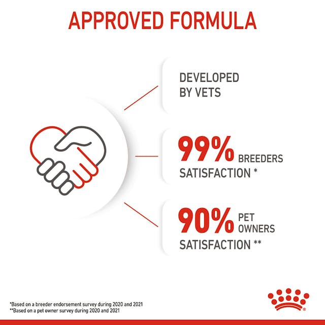 ROYAL CANIN Kitten Wet Cat Food in Jelly 85g*12