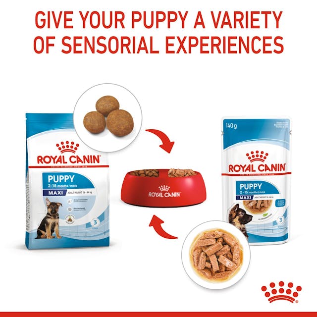 ROYAL CANIN Maxi Puppy Chunks in Gravy Wet Dog Food 140gx10