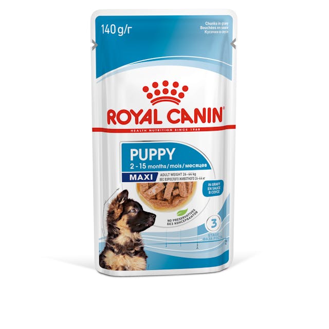 ROYAL CANIN Maxi Puppy Chunks in Gravy Wet Dog Food 140gx10