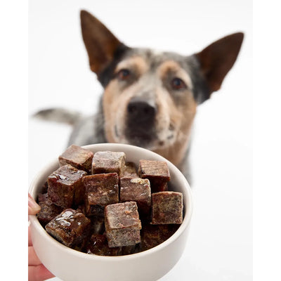 Fresha Frozen Kangaroo Organ Blend Cubes For Dogs & Cats 500g