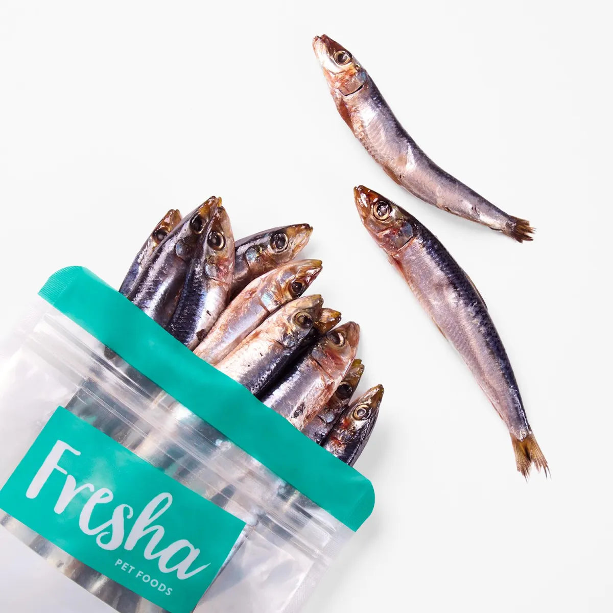 Fresha Frozen Wild Caught Sardines For Dogs & Cats 500g