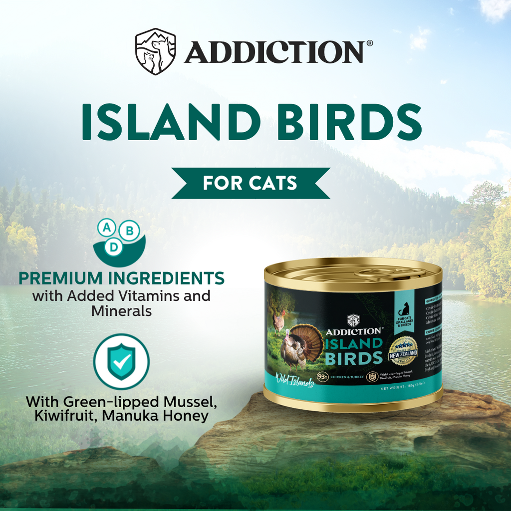 Addiction Cat Wet Food Wild Islands Island Birds Chicken & Turkey