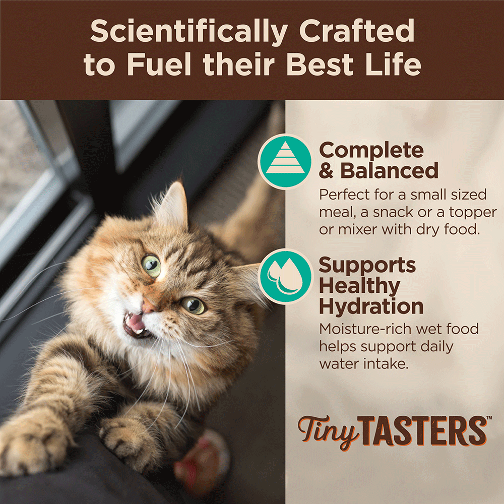 WELLNESS Core Wet Cat Food Tiny Tasters Flaked Tuna & Salmon in Broth