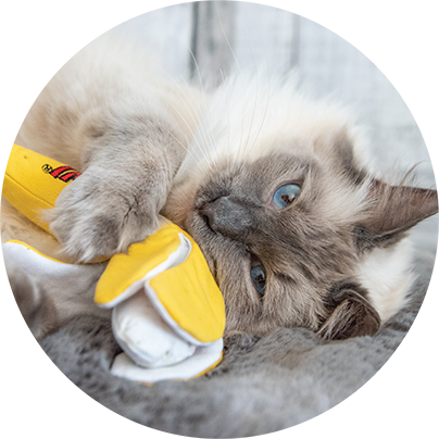 Yeowww! Catnip Cat Toy Chi-CAT-a Banana Peeled