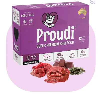 How to Feed Cats Raw Food: A Beginner's Guide