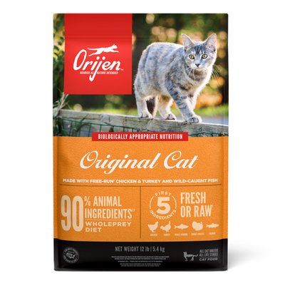 Transition Tips: How to Switch Your Cat to Orijen Cat Food Safely