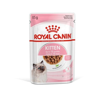 Royal Canin Dry vs Wet Food: Which Is Better?