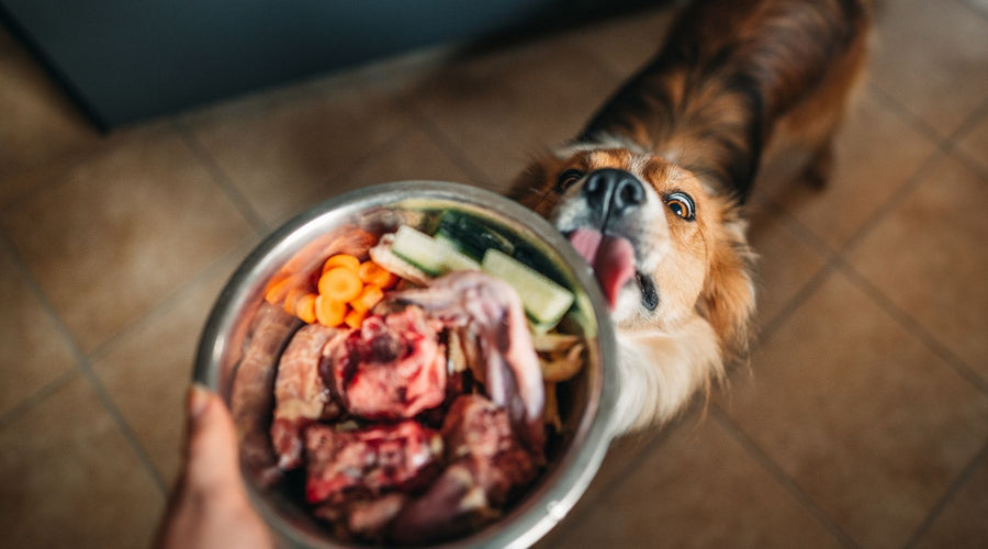 Let’s Feed Raaaaaaaaaw!!! Some Popular Raw Feeding Options