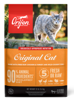 How to Help an Overweight Cat Lose Weight