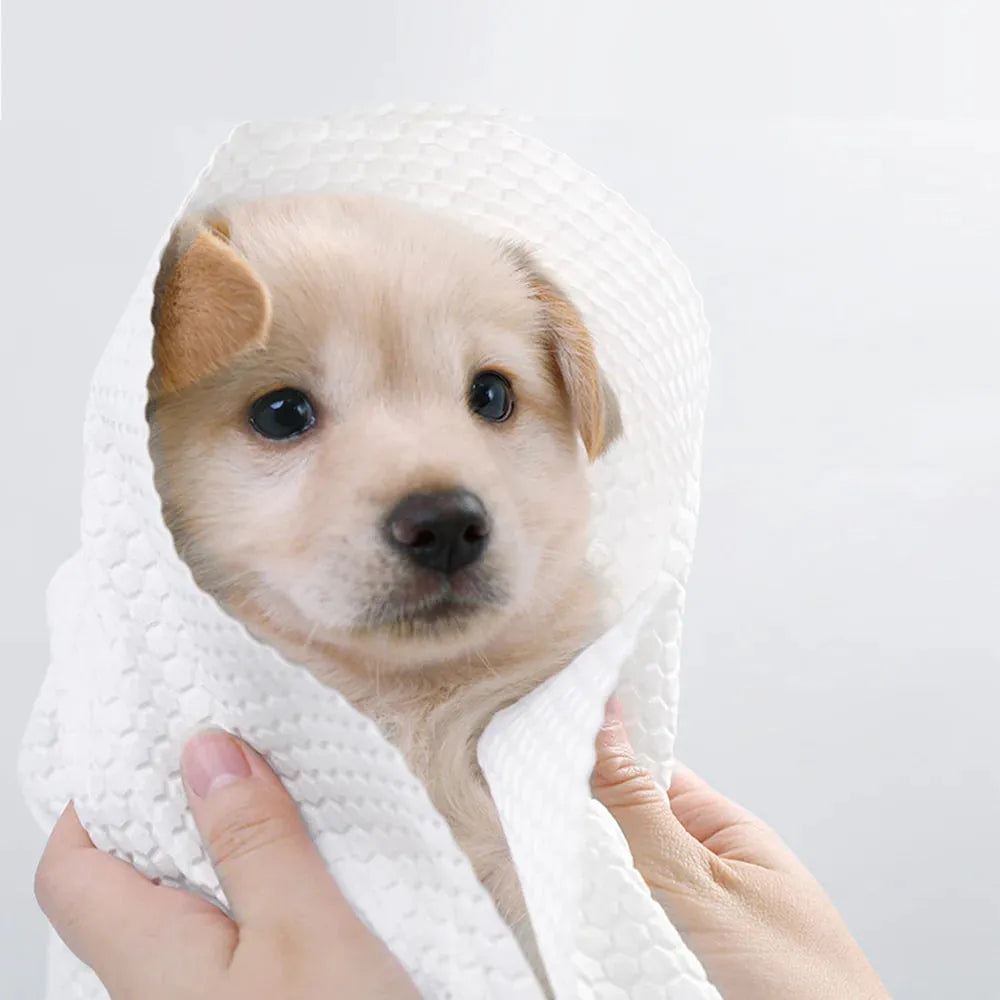 KOJIMA One-Time Use Pet Bath Towel Single Pack