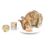 CAT FOREST Classic Tuna White Meat with Seabream in Gravy Canned Cat Food 85g