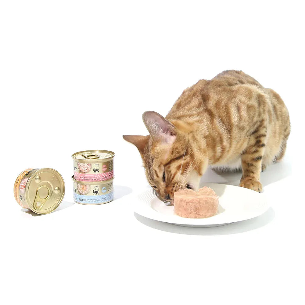 CAT FOREST Classic Tuna White Meat with Seabream in Gravy Canned Cat Food 85g