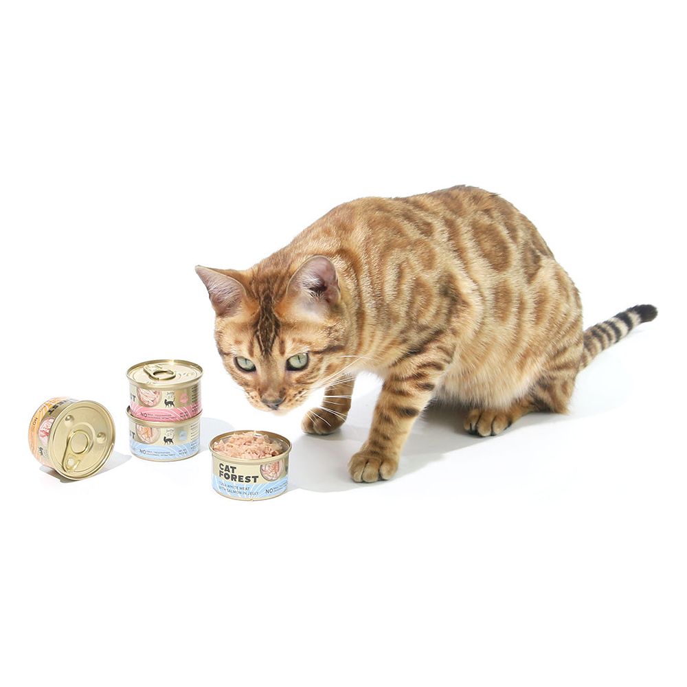 CAT FOREST Premium Tuna White Meat with Salmon in Jelly Canned Cat Food 85g