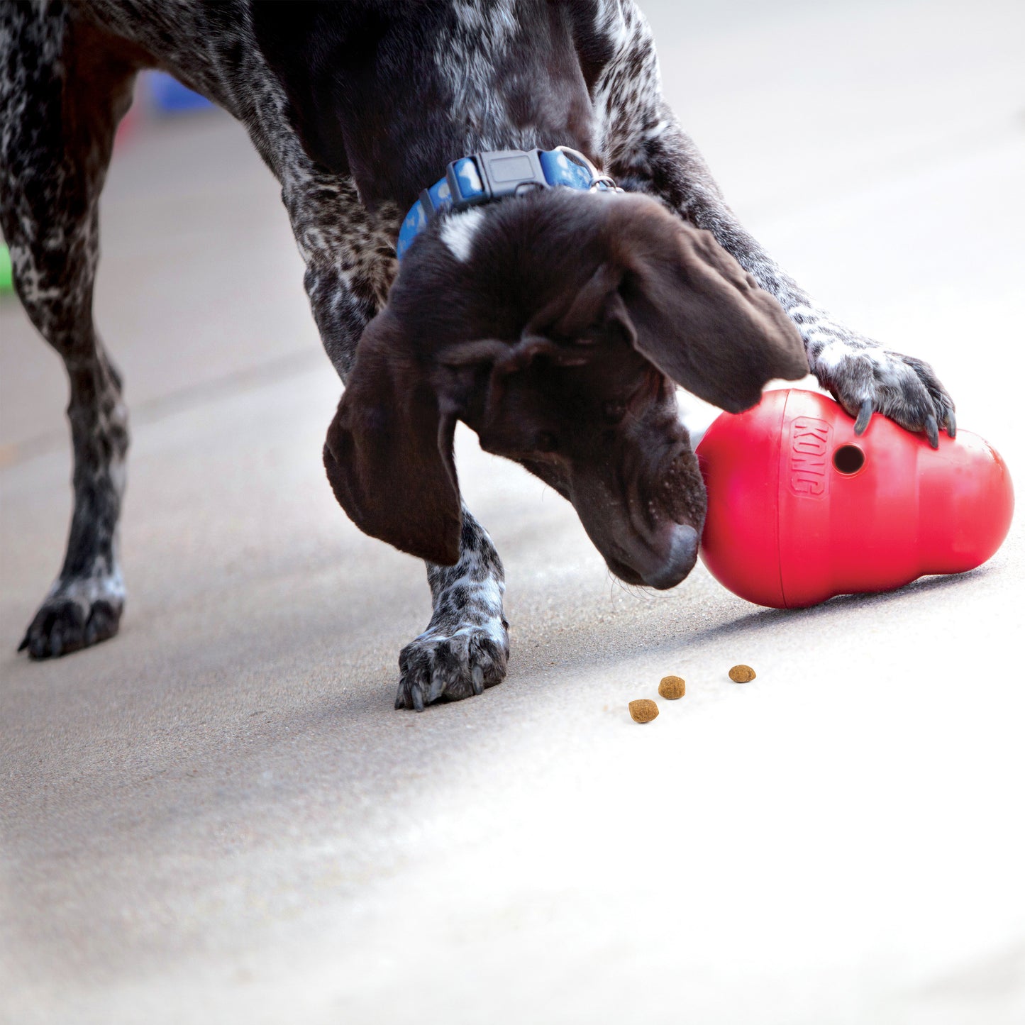 KONG Treat Dispensing Dog Toy Rewards Wobbler
