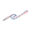 VITALWAVE Gradient Peaks Dog Leash
