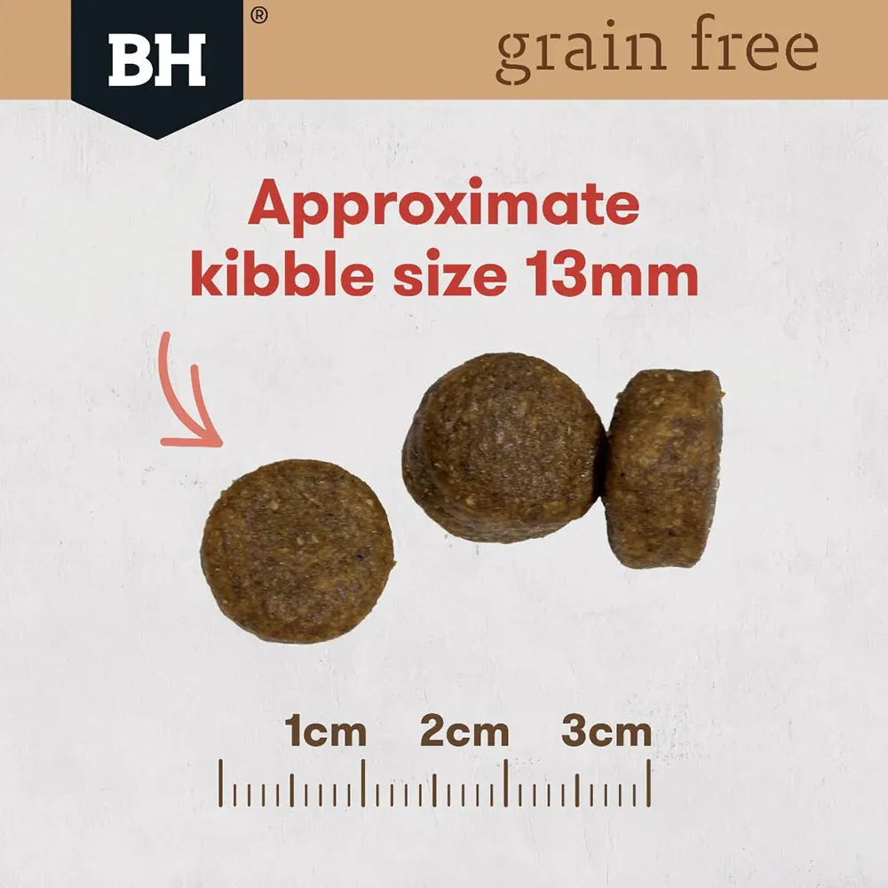 Black Hawk Adult Dog Dry Food Grain Free Kanagroo