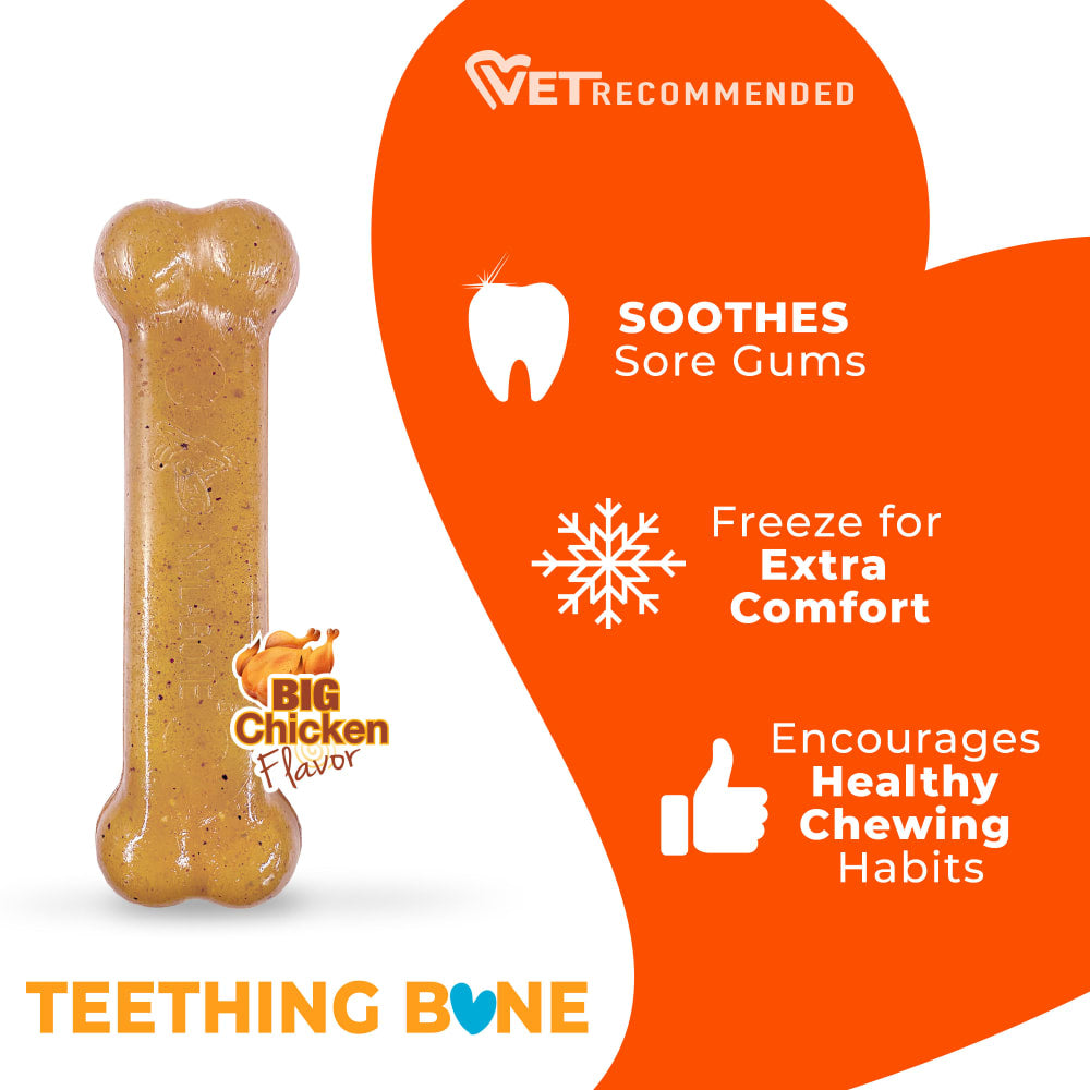 Nylabone Puppy Chew Toy Teething Bone