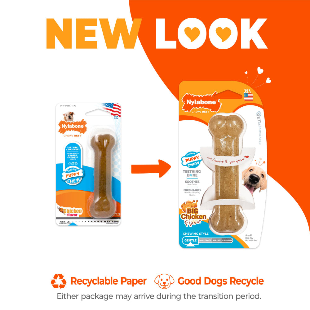 Nylabone Puppy Chew Toy Teething Bone