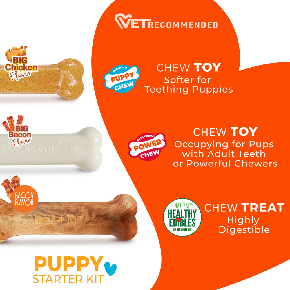 Nylabone Puppy Chew Starter Kit Chew Toy with Chew Treat