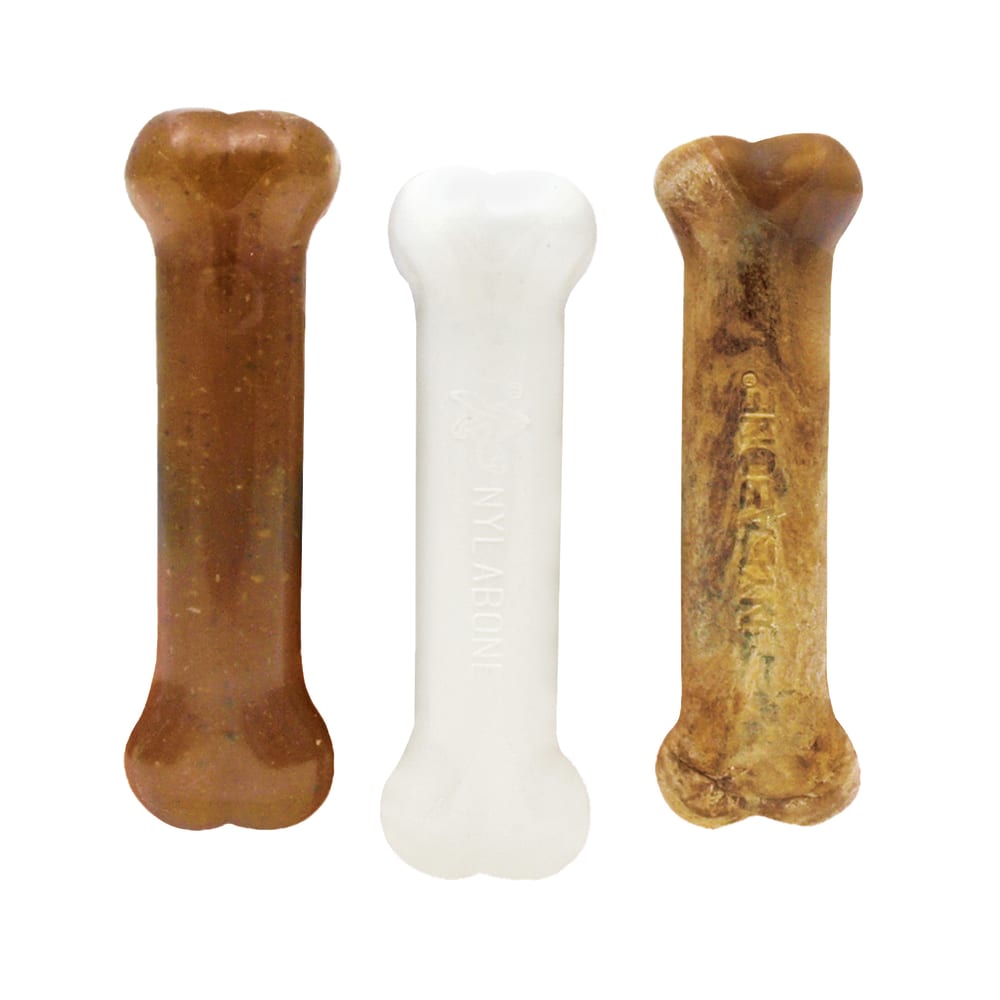 Nylabone Puppy Chew Starter Kit Chew Toy with Chew Treat