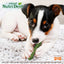 Nylabone Nutri Dent SIMPLE Fresh Breath Flavored Dental Chews Medium 8 Pack
