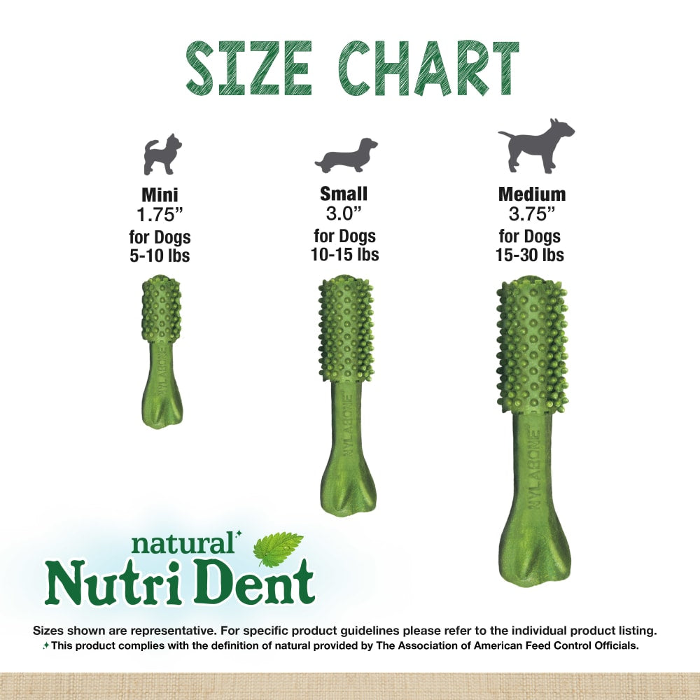 Nylabone Nutri Dent SIMPLE Fresh Breath Flavored Dental Chews Medium 8 Pack