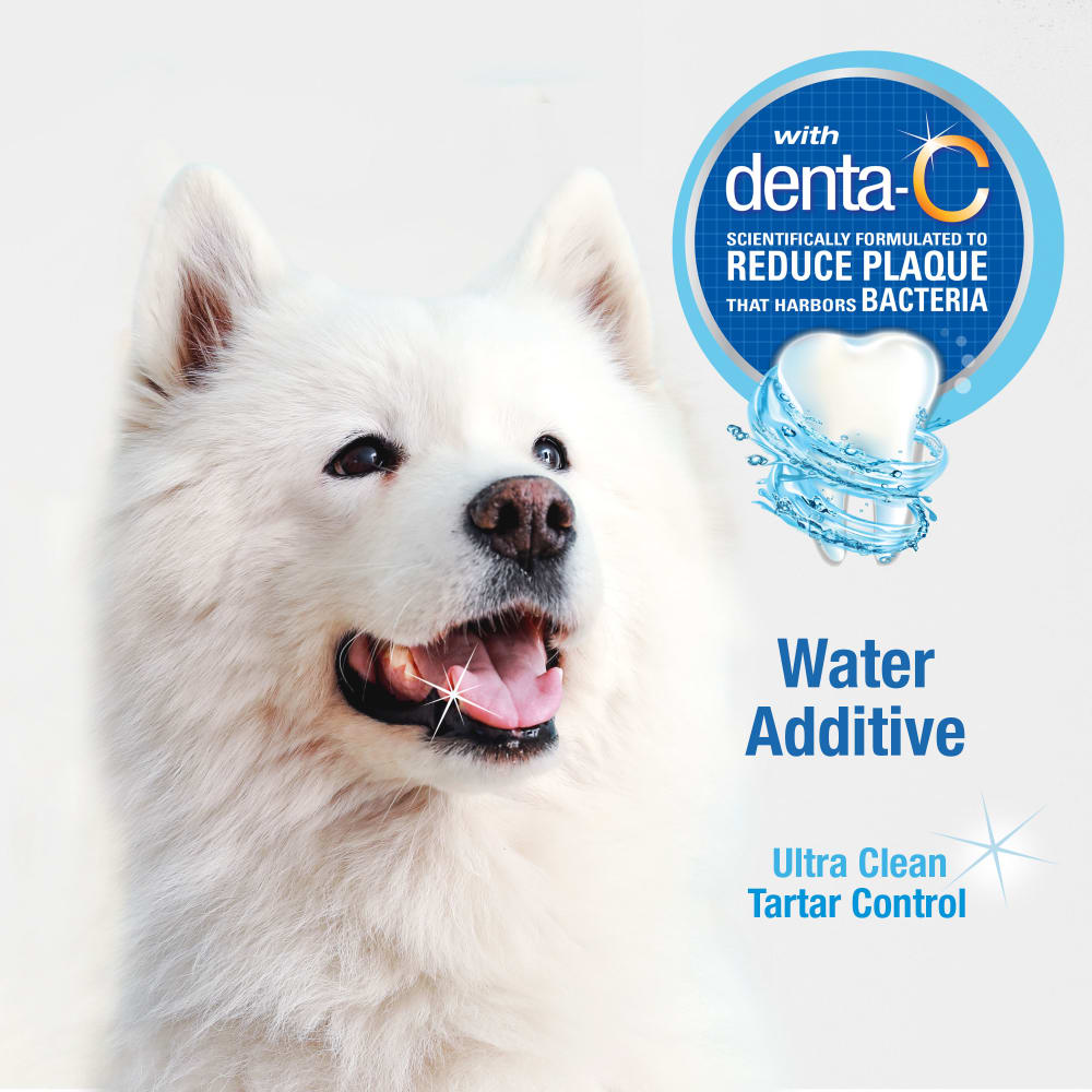 Nylabone Advanced Oral Care Water Additive for Dogs 480ml