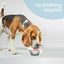 Nylabone Advanced Oral Care Water Additive for Dogs 480ml