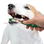 Nylabone Advanced Oral Care Natural Dog Dental Kit