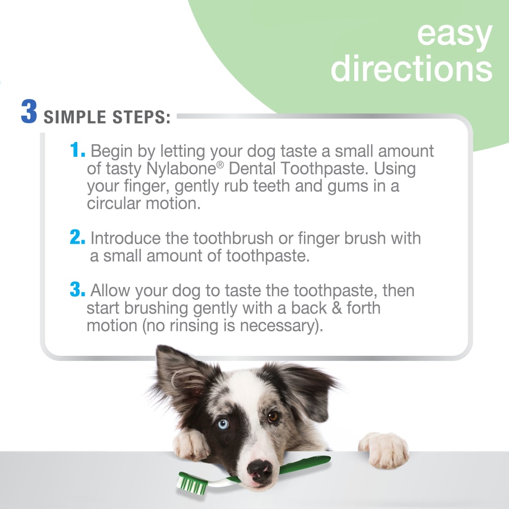 Nylabone Advanced Oral Care Natural Toothpaste