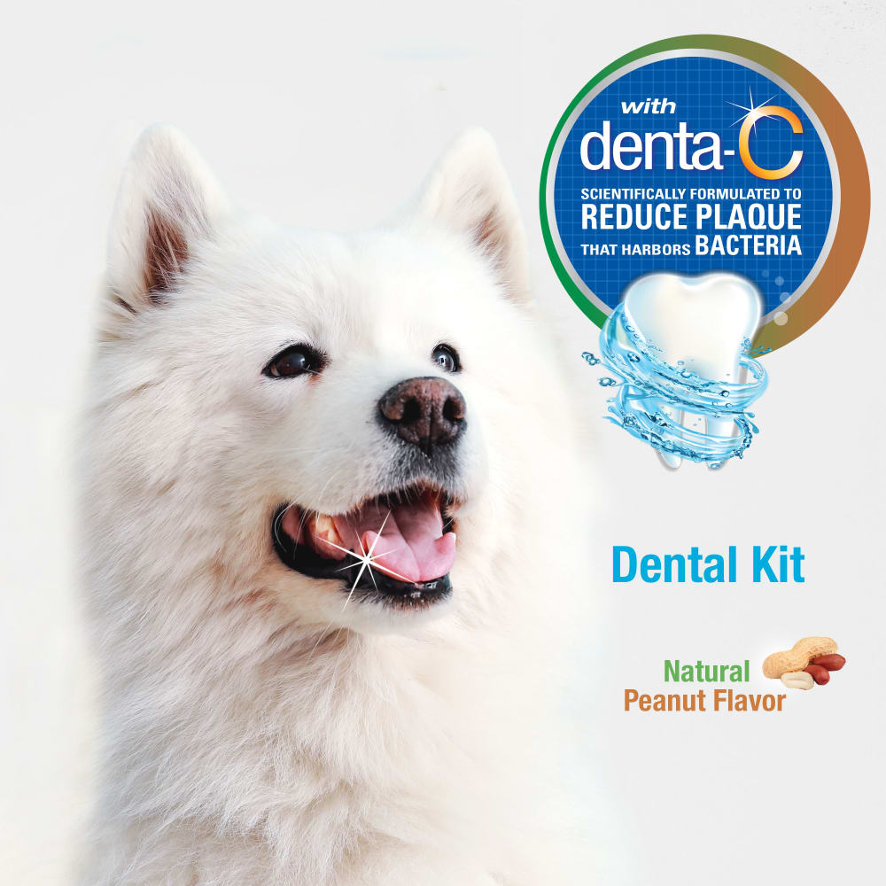 Nylabone Advanced Oral Care Tartar Control Dog Toothpaste